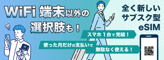スカイベリーeSIM