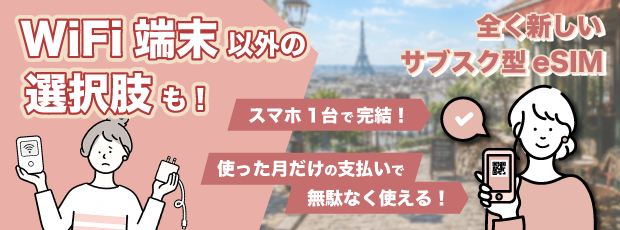 スカイベリーeSIM